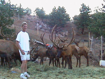 Dennis with Elk Herd