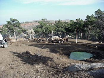 Aerial View of Velvet Ridge Ranch