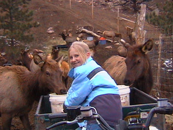 Aerial View of Velvet Ridge Ranch